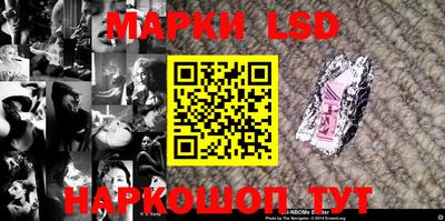 стафф Будённовск
