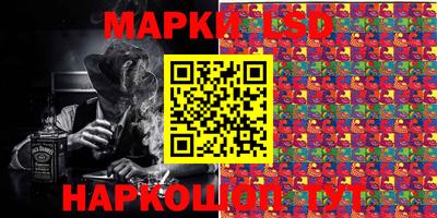 стафф Будённовск