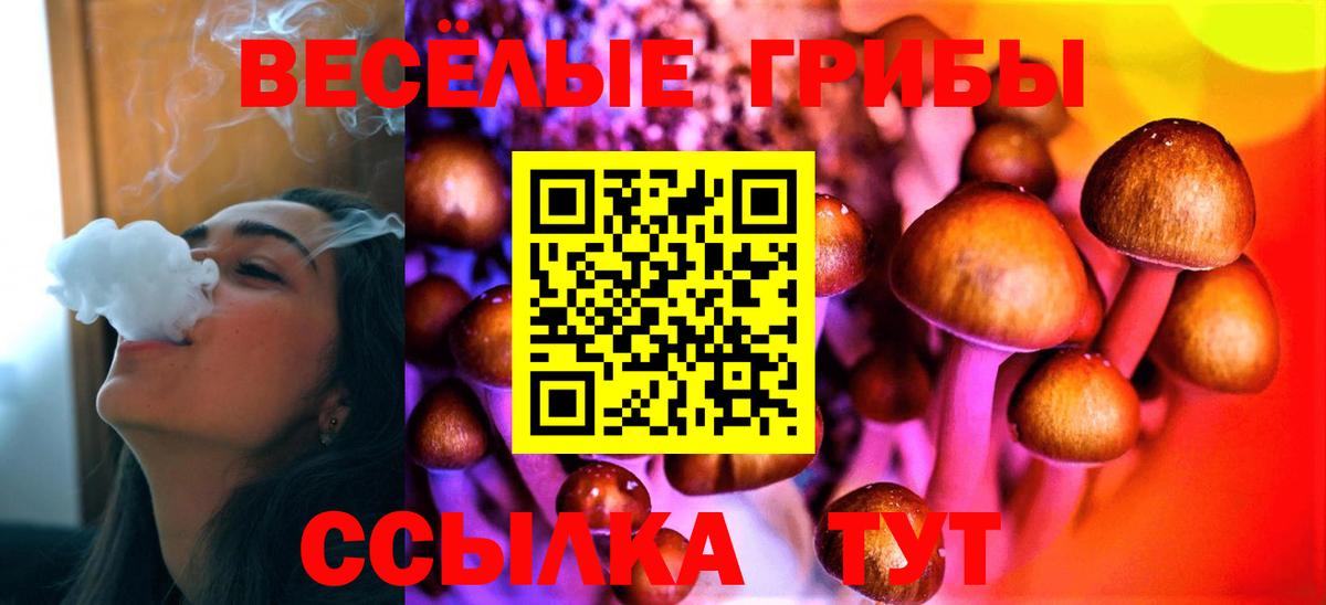 Галлюциногенные грибы MAGIC MUSHROOMS  Вход с VPN  Новокубанск 