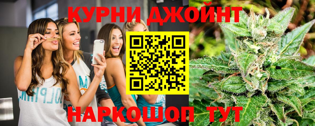 Конопля план Новокубанск